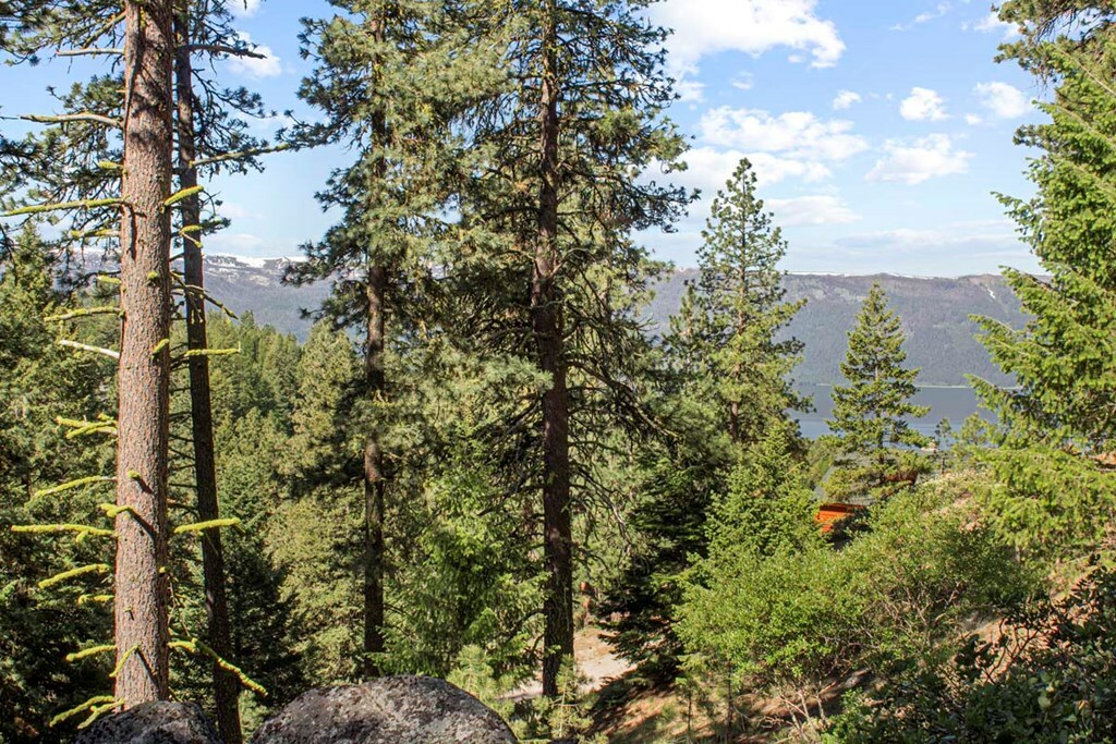 Property Photo: 1650 Crown Point Parkway ID 83611