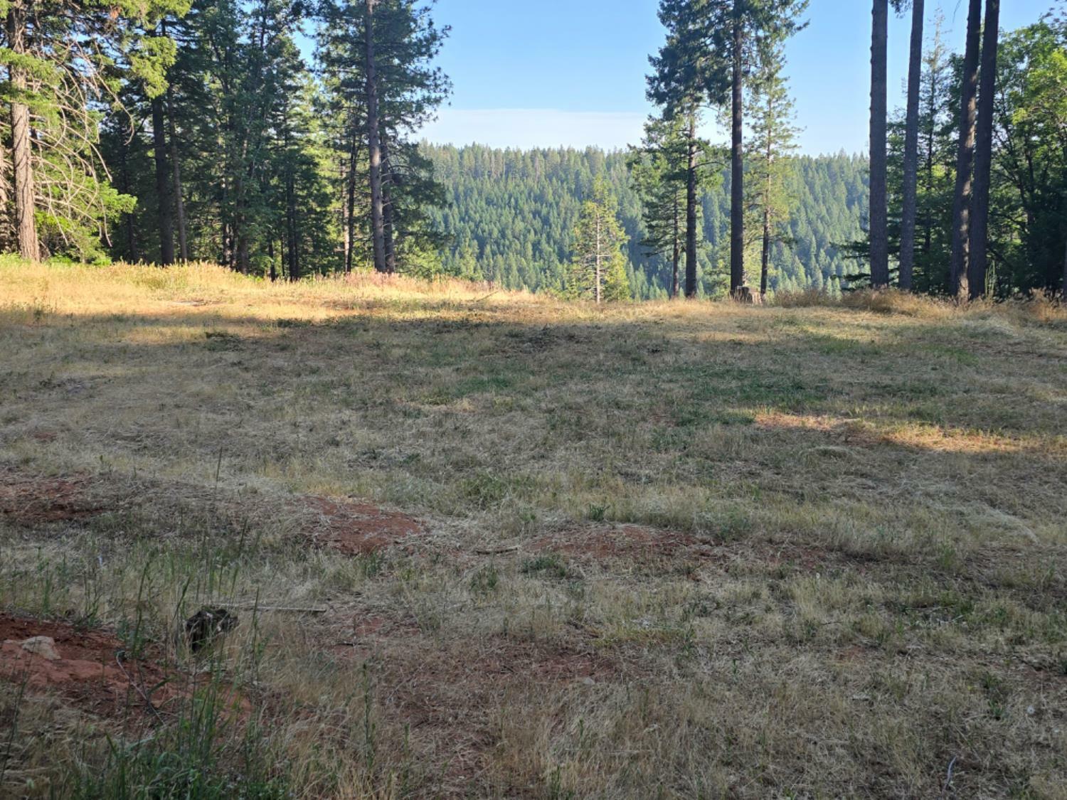 Property Photo: 13907 Lightning Tree Road CA 95959