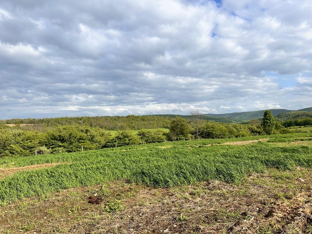 Property Photo: 2060 Rietter Hill Road PA 16950
