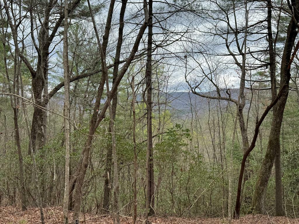 Property Photo:  Lot A-D Harpers Creek Road  GA 30540 