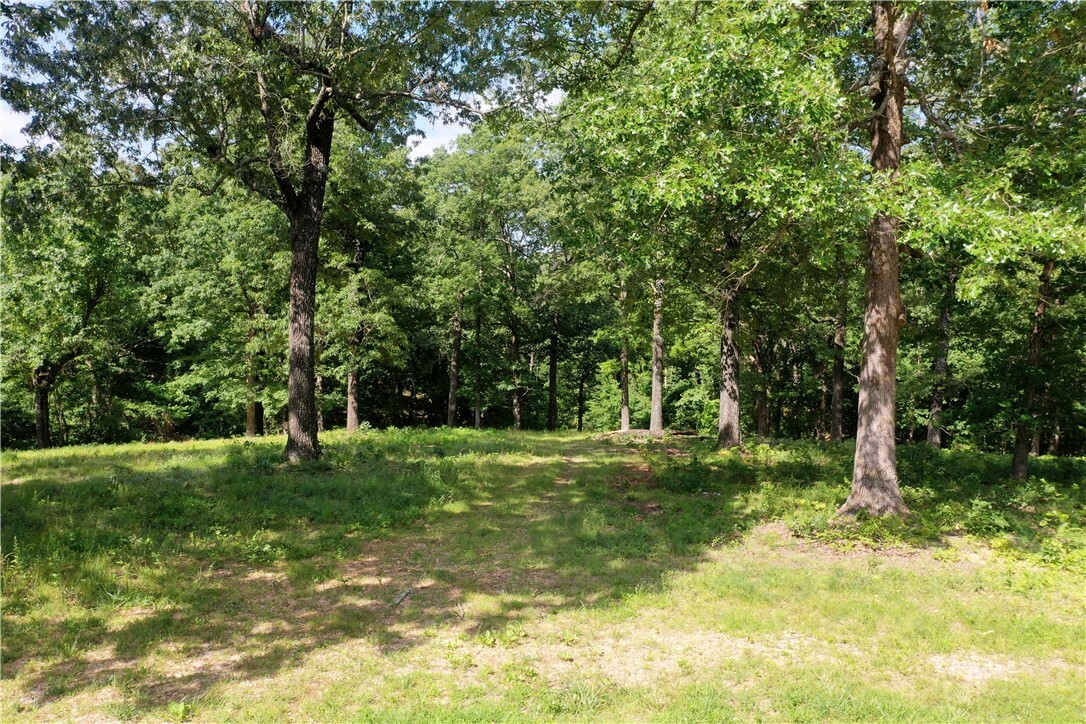 Lot 10 Oak Leaf Drive  Harrison AR 72601 photo