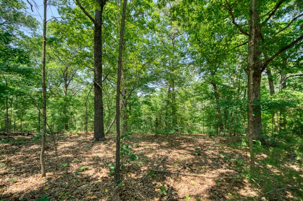 Pine Ridge Lane / C Street  Eureka Springs AR 72631 photo