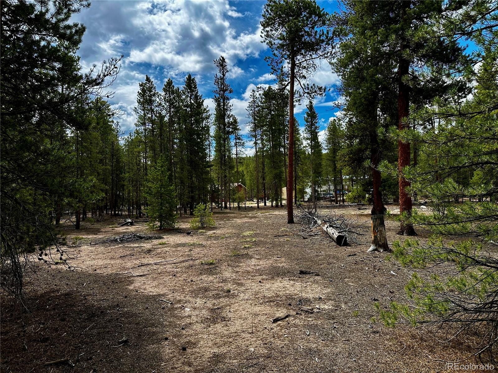 Property Photo: 644 Birch Drive CO 80461