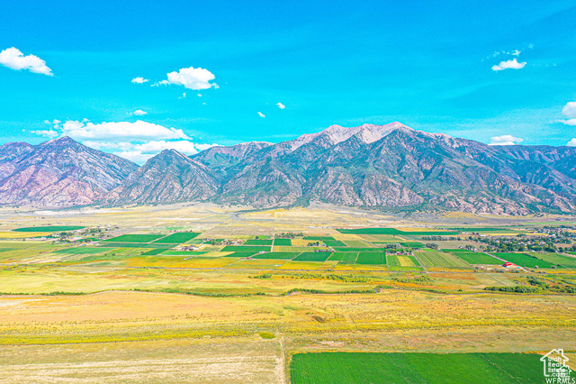 1065 N Goshen Canyon Rd W 2  Mona UT 84645 photo