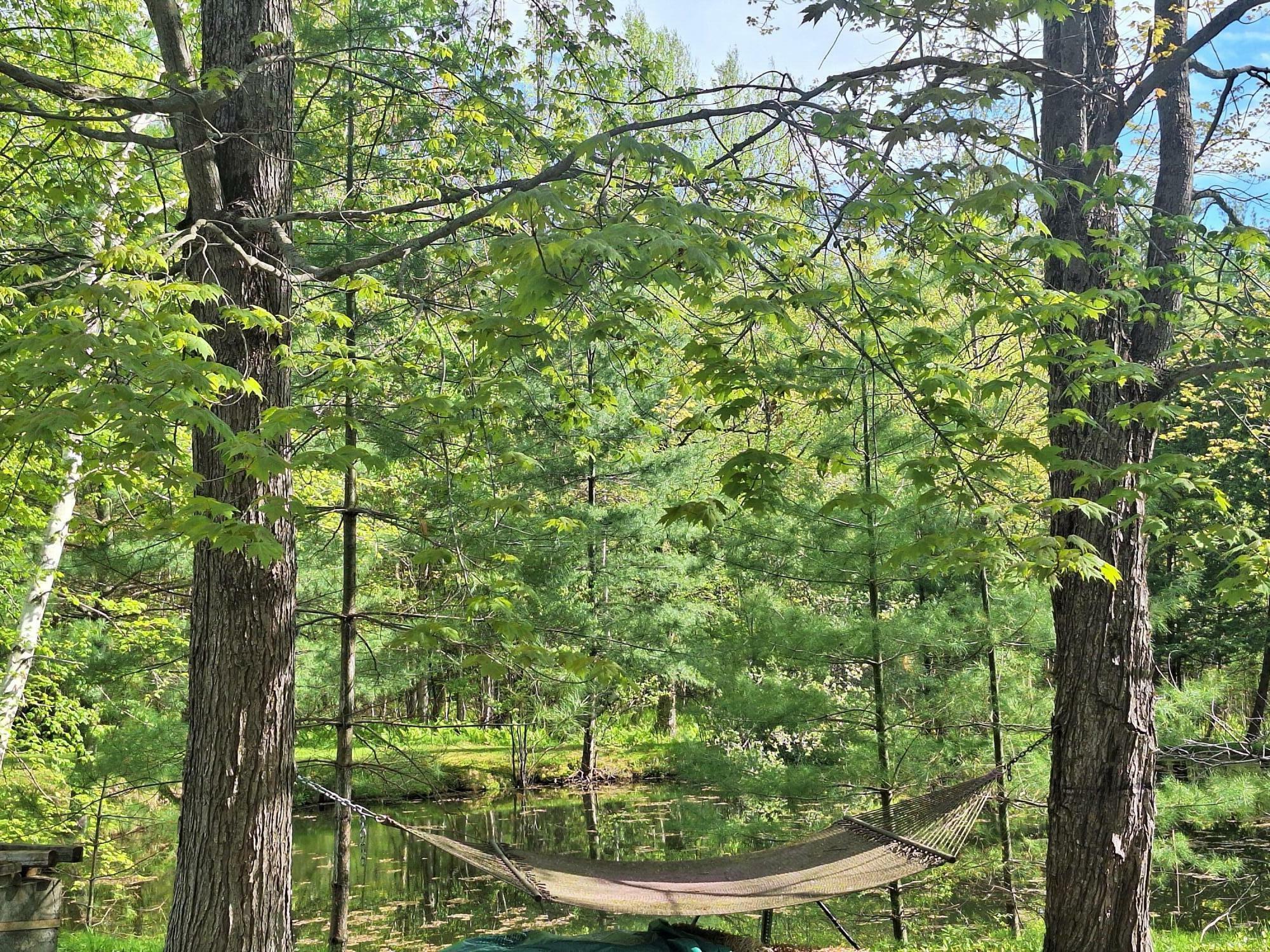 Property Photo: 202 Turner Road NY 12962