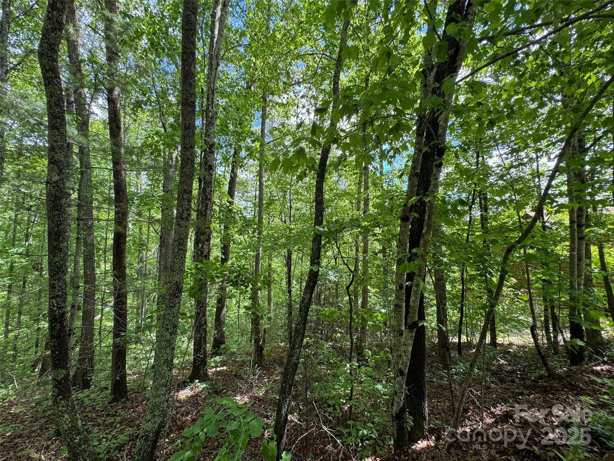 99999 Morning Star Drive Lot 13  Leicester NC 28748 photo