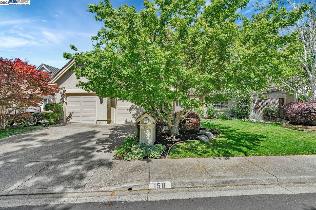 158 Golden Ridge Rd  Alamo CA 94507 photo