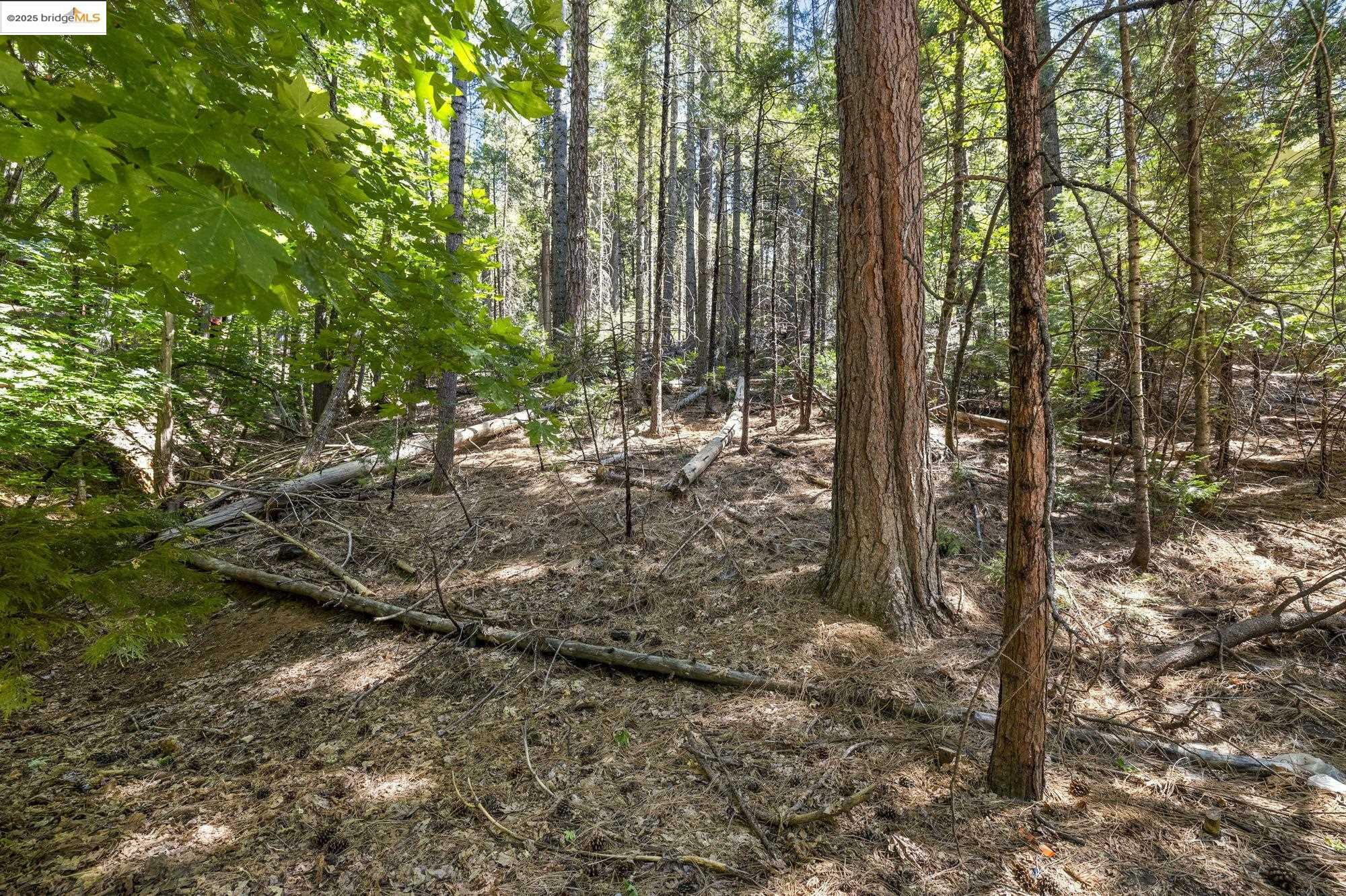 Property Photo: 17067 Pony Tail Ct CA 95370