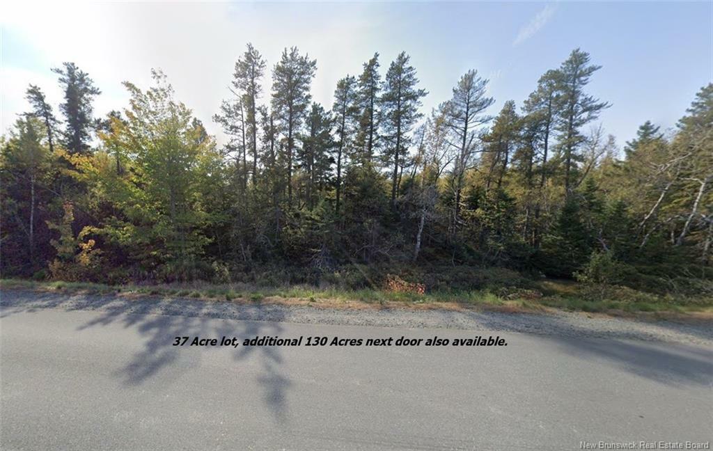 Property Photo: Lot Rte 117 Hardwicke NB E9A 1J9