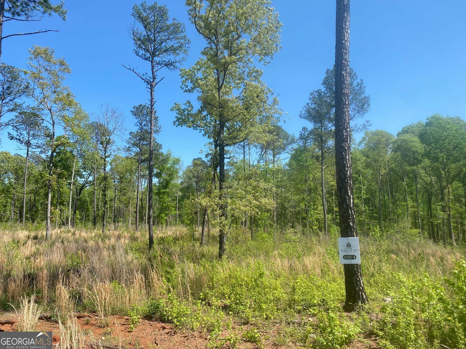 Property Photo: Lot 4 Giles Road GA 31029