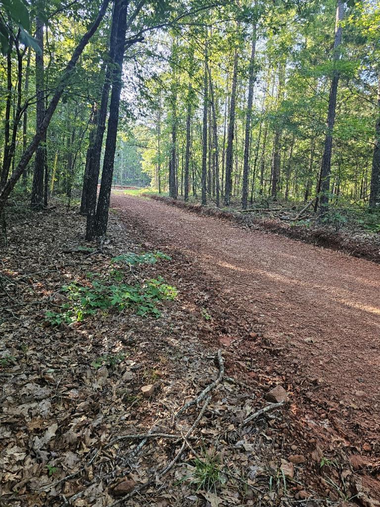 Property Photo:  Blk 33 Lot 06 Juniper Way  GA 31831 