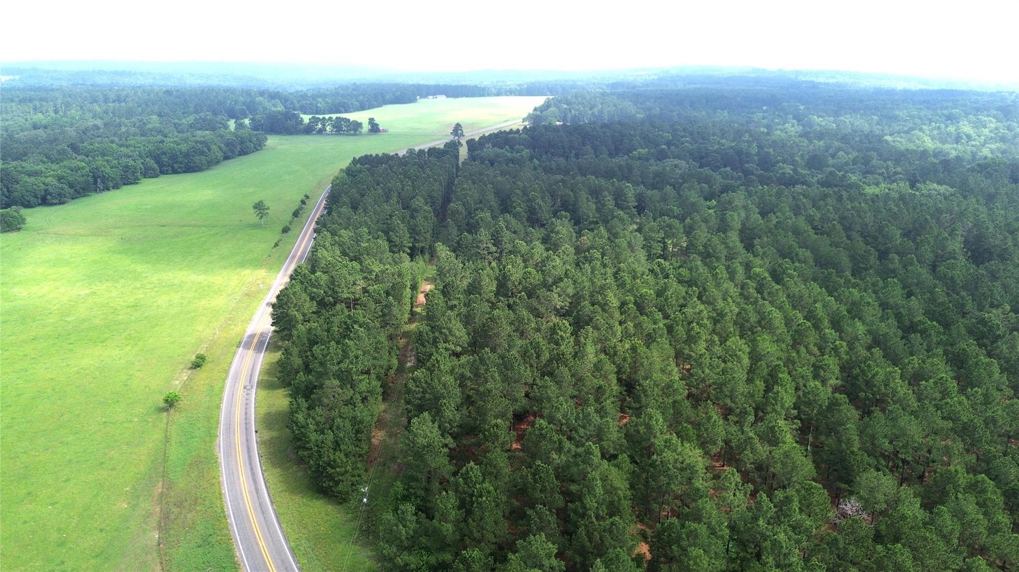 Property Photo: Tbd Fm 228 TX 75844