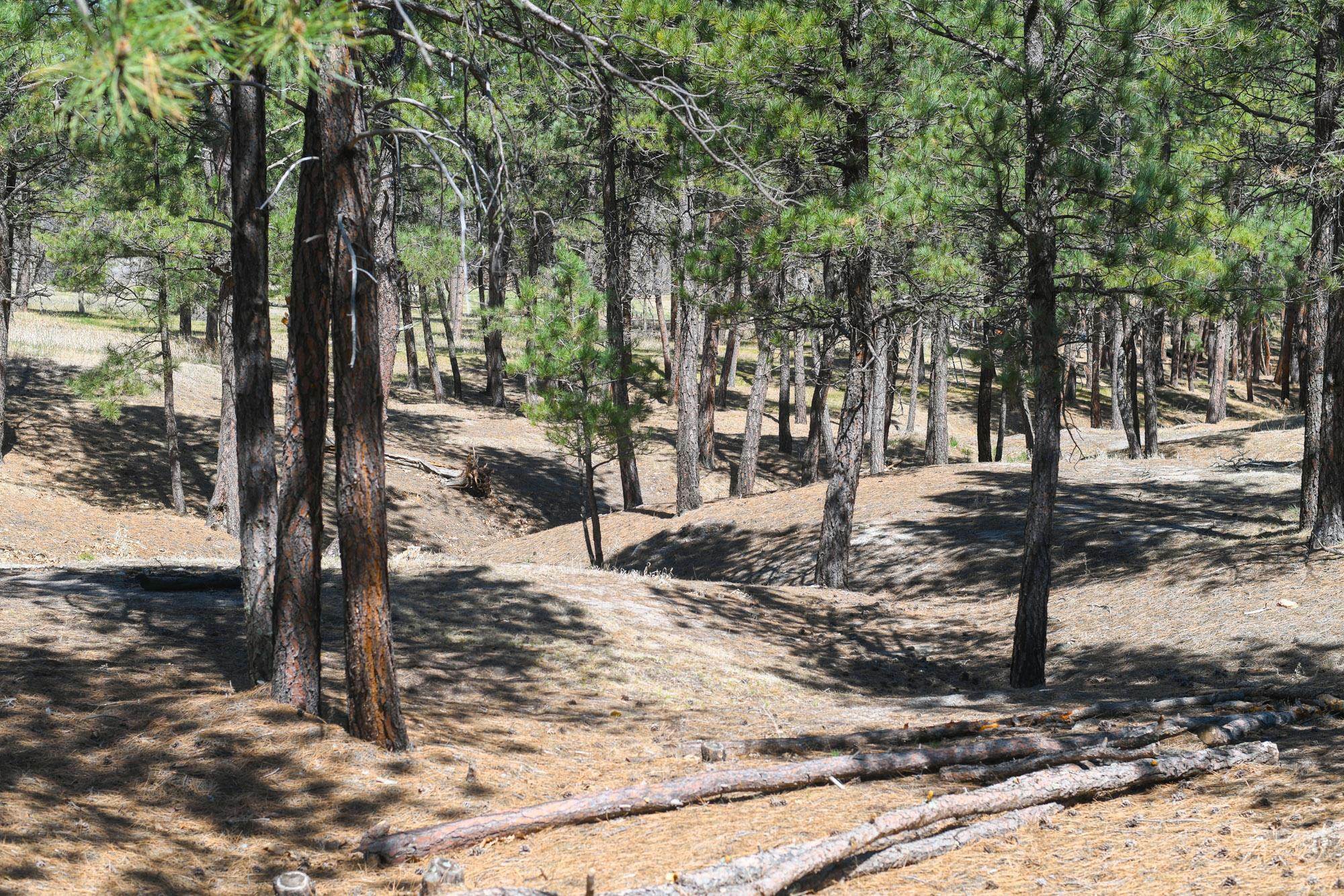 Property Photo: Lot L1 SD 57717