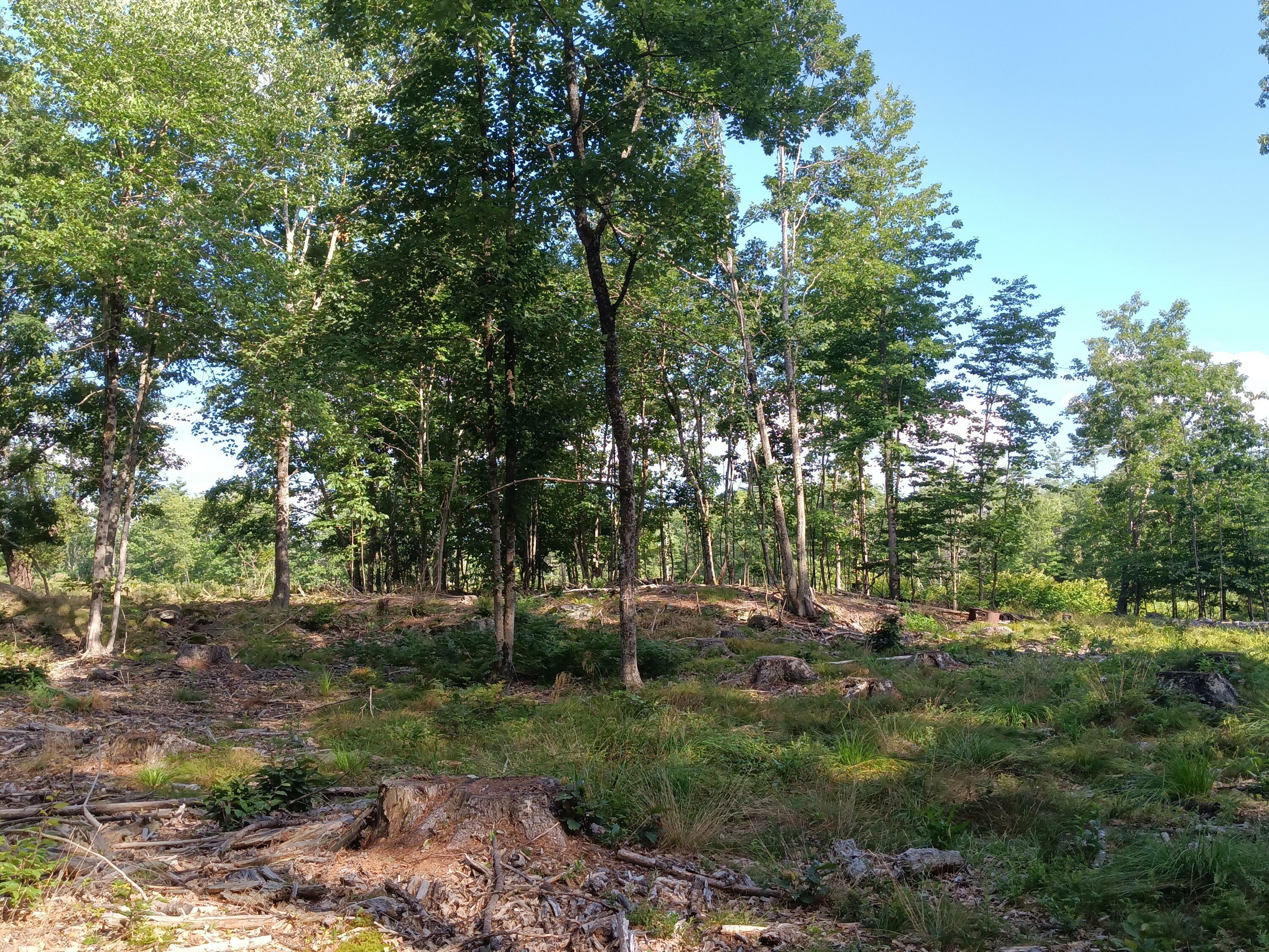 Property Photo: 95 Walnut Hill Road ME 04076