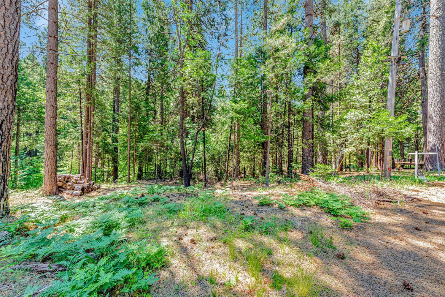 Property Photo: 6134 Kokanee Lane CA 95726