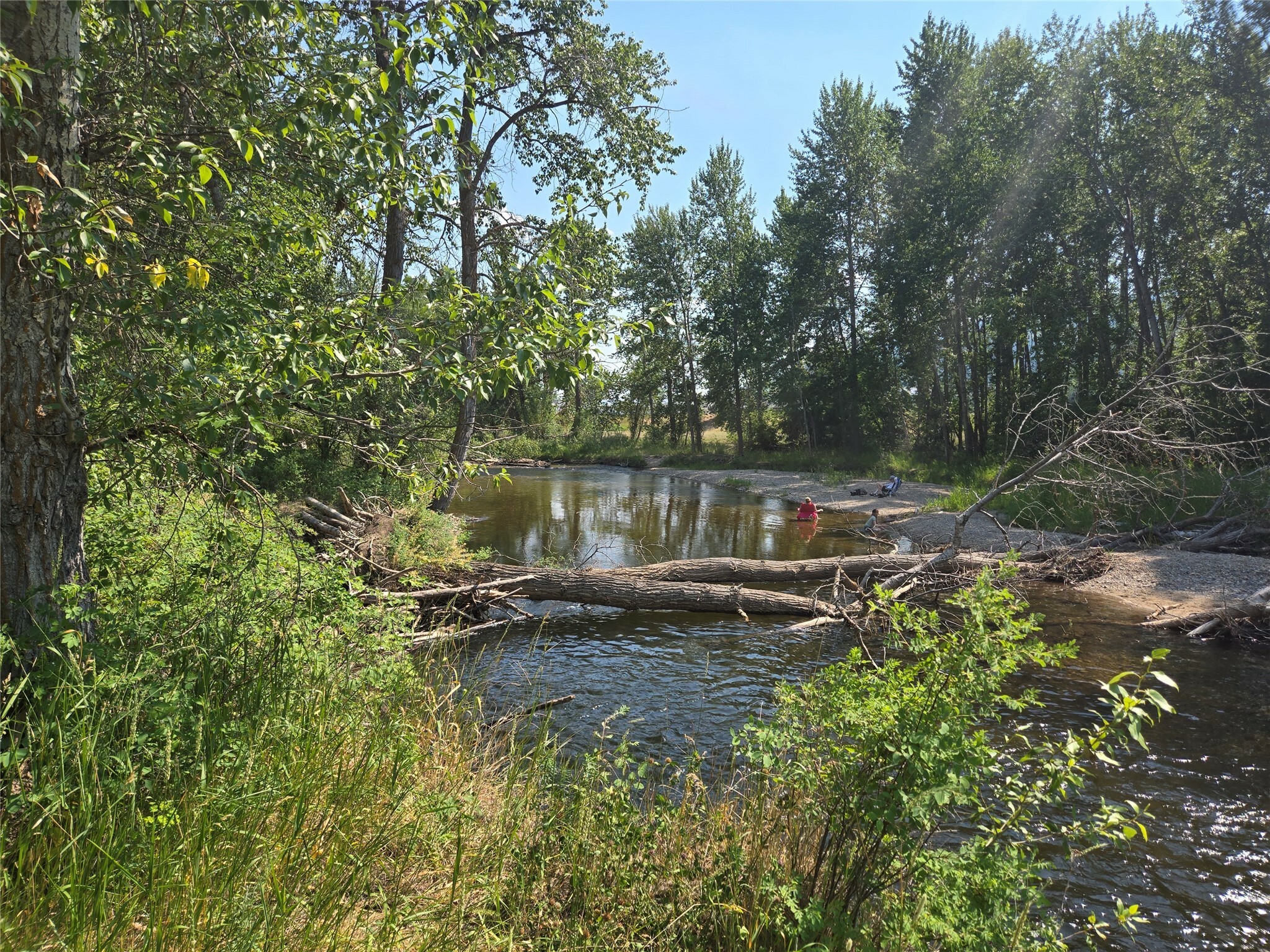 Property Photo: Tbd Kester Lane MT 59847