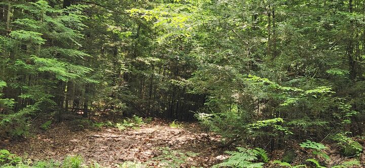 Property Photo: 0 Oliver Hill Road NH 03446