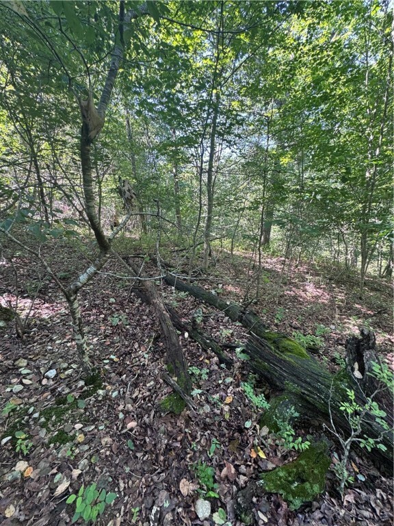 Tbd Gretton Lane  Bella Vista AR 72714 photo