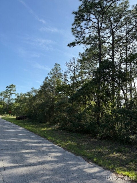 Property Photo: 9584 N Gaillardia Way FL 34434