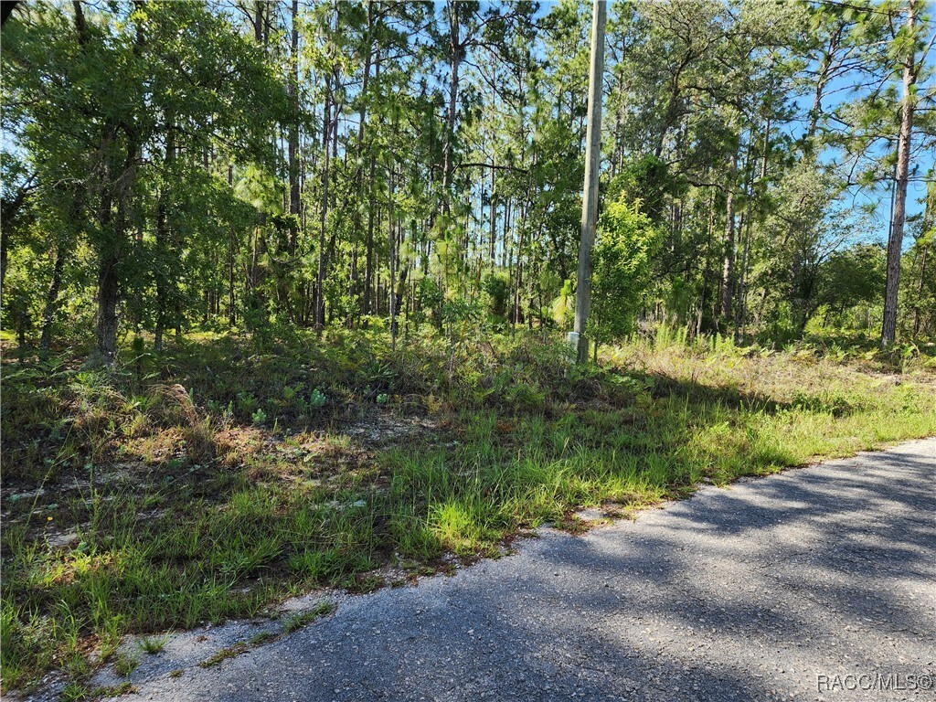 Property Photo: 1476 W Diamond Drive FL 34434
