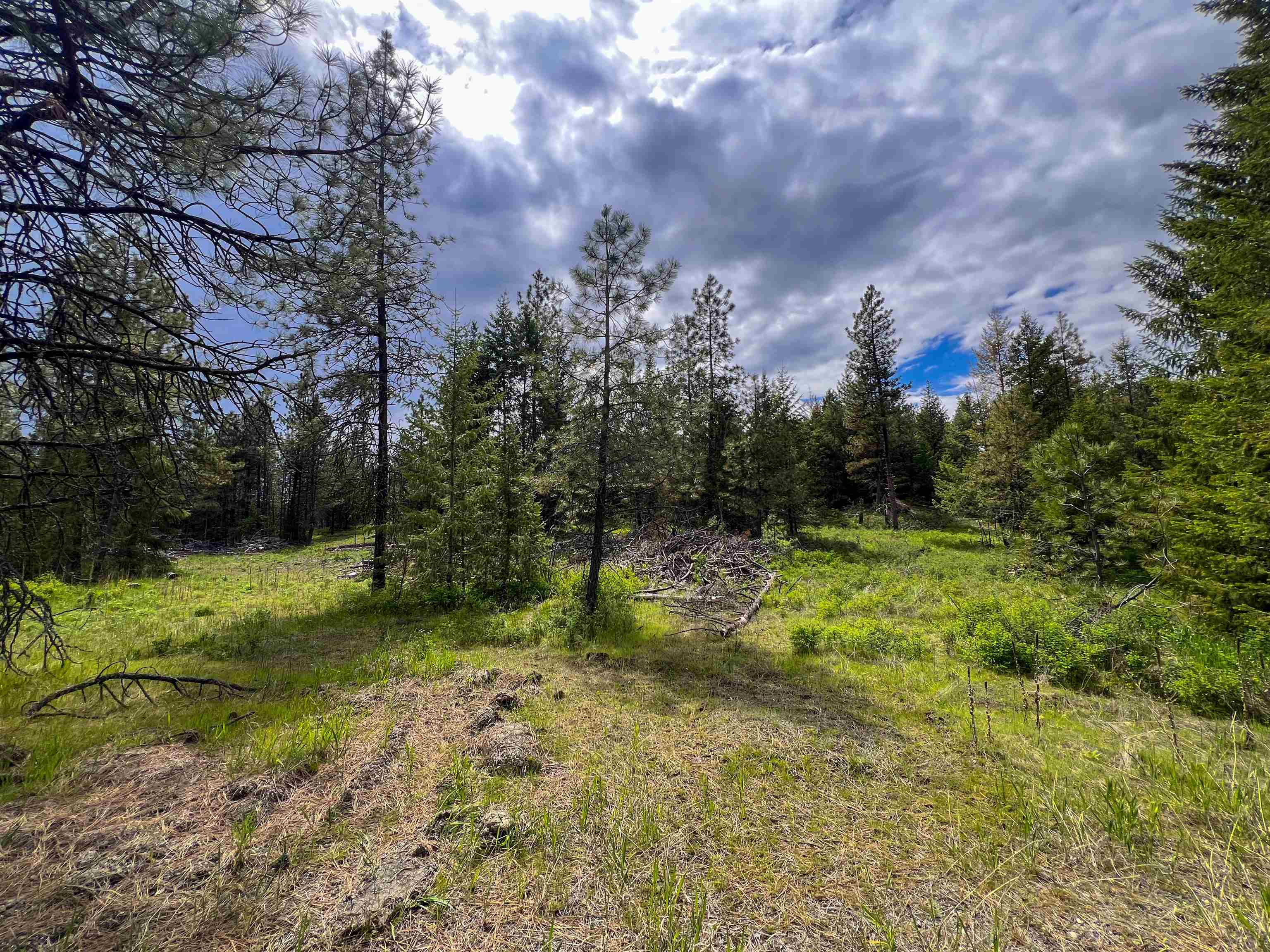 Property Photo: 20xx Clemons Rd WA 99167
