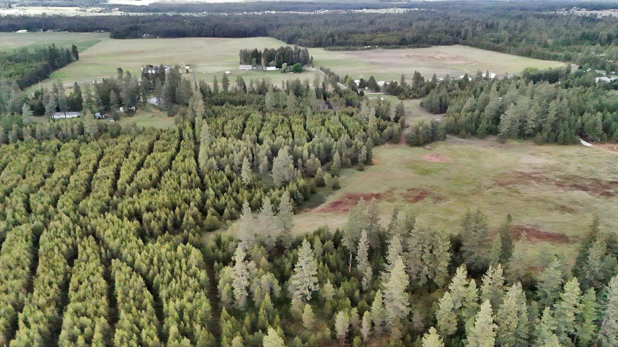 Property Photo: Xxxx W Mason Rd (10 Acres) WA 99006