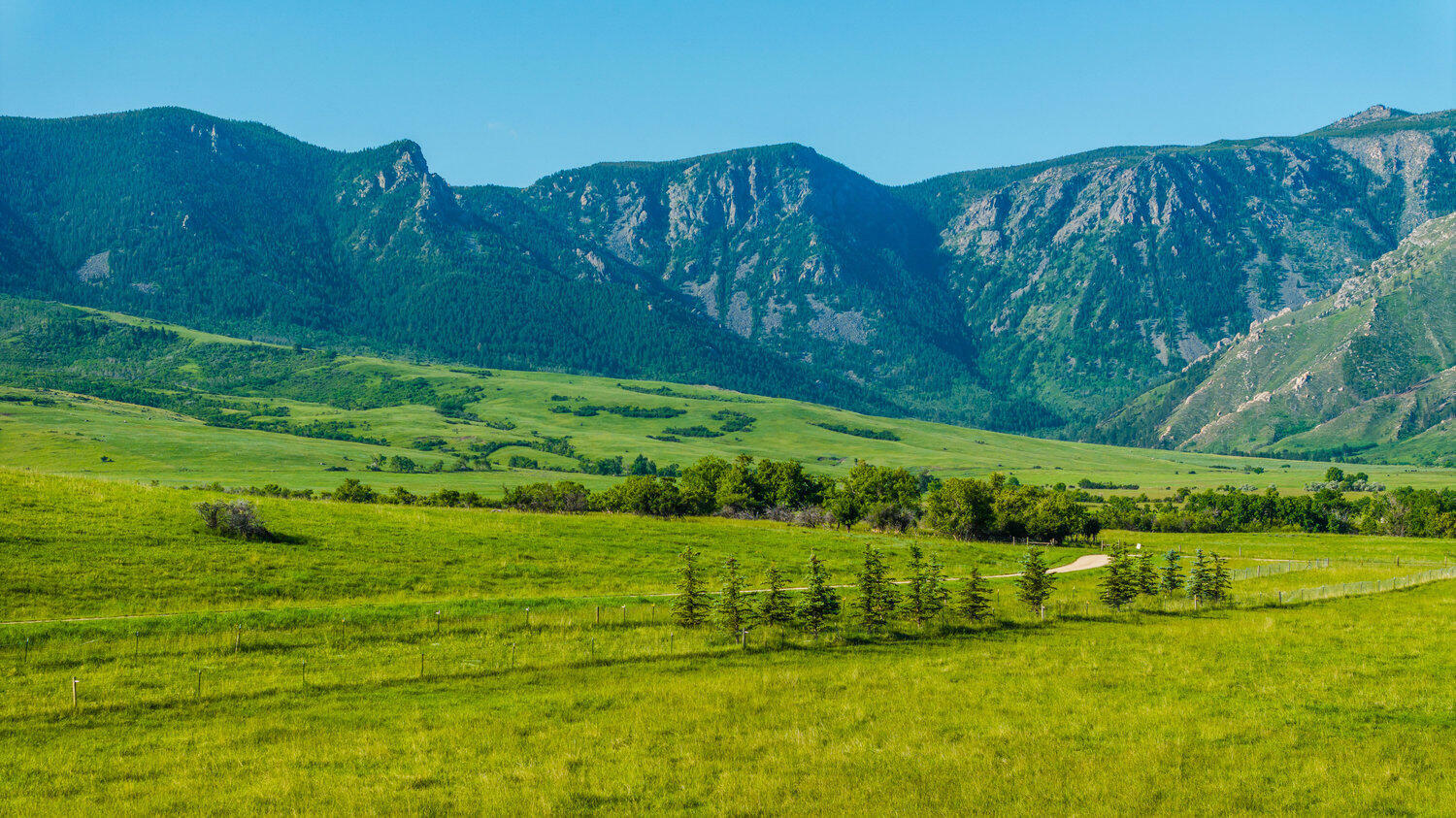 Property Photo: 40.6 Acres Canyon Ranch Road WY 82833