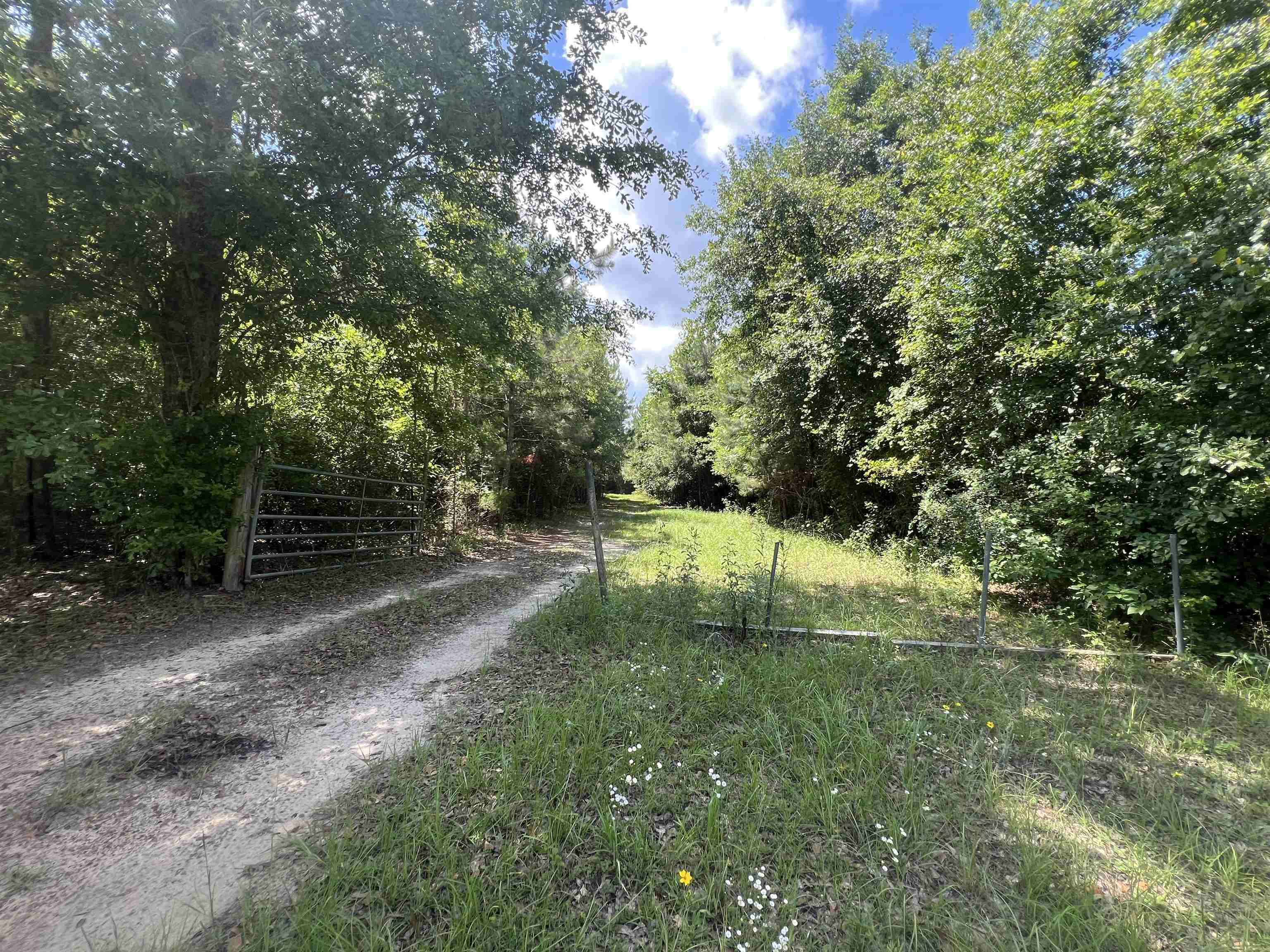 Property Photo: Xx Hardaway Highway FL 32332