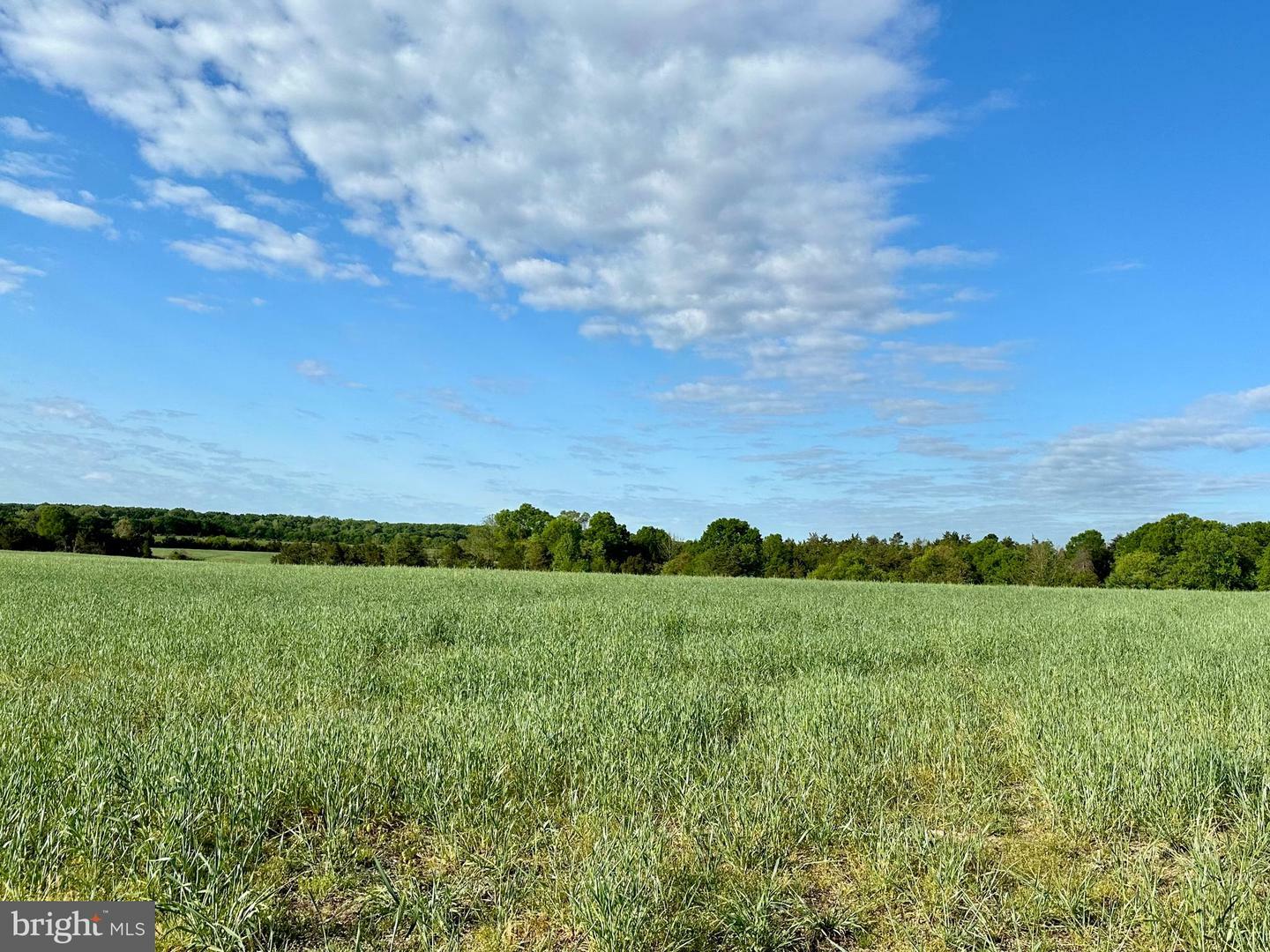 Property Photo: Lot 1-12 Zachary Taylor Hwy VA 22567
