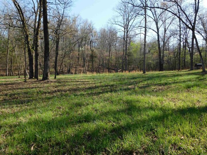 Property Photo: 000 Old Military Road AR 72653