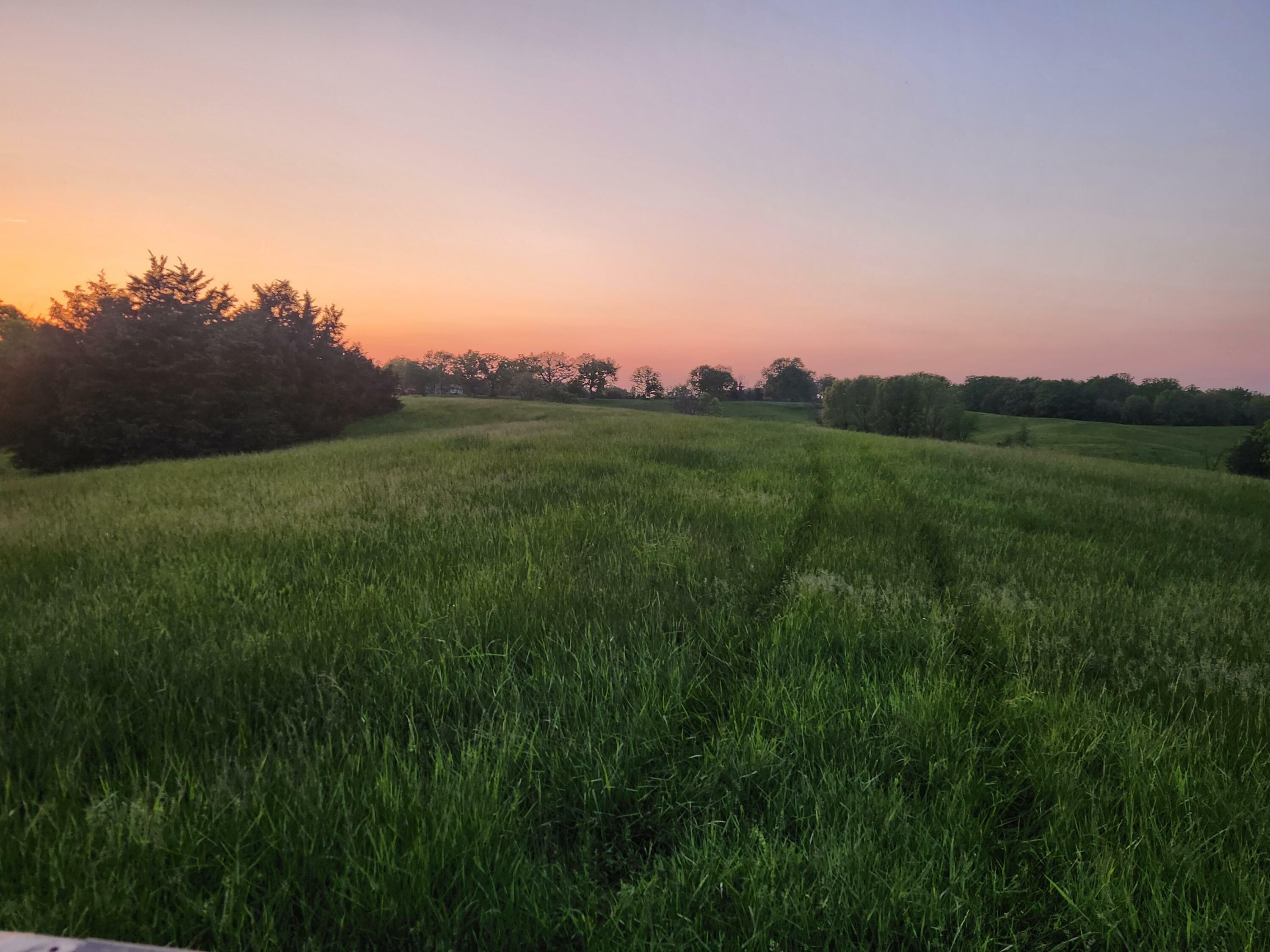 Property Photo: Tract 2 N Barnett School Rd MO 65284