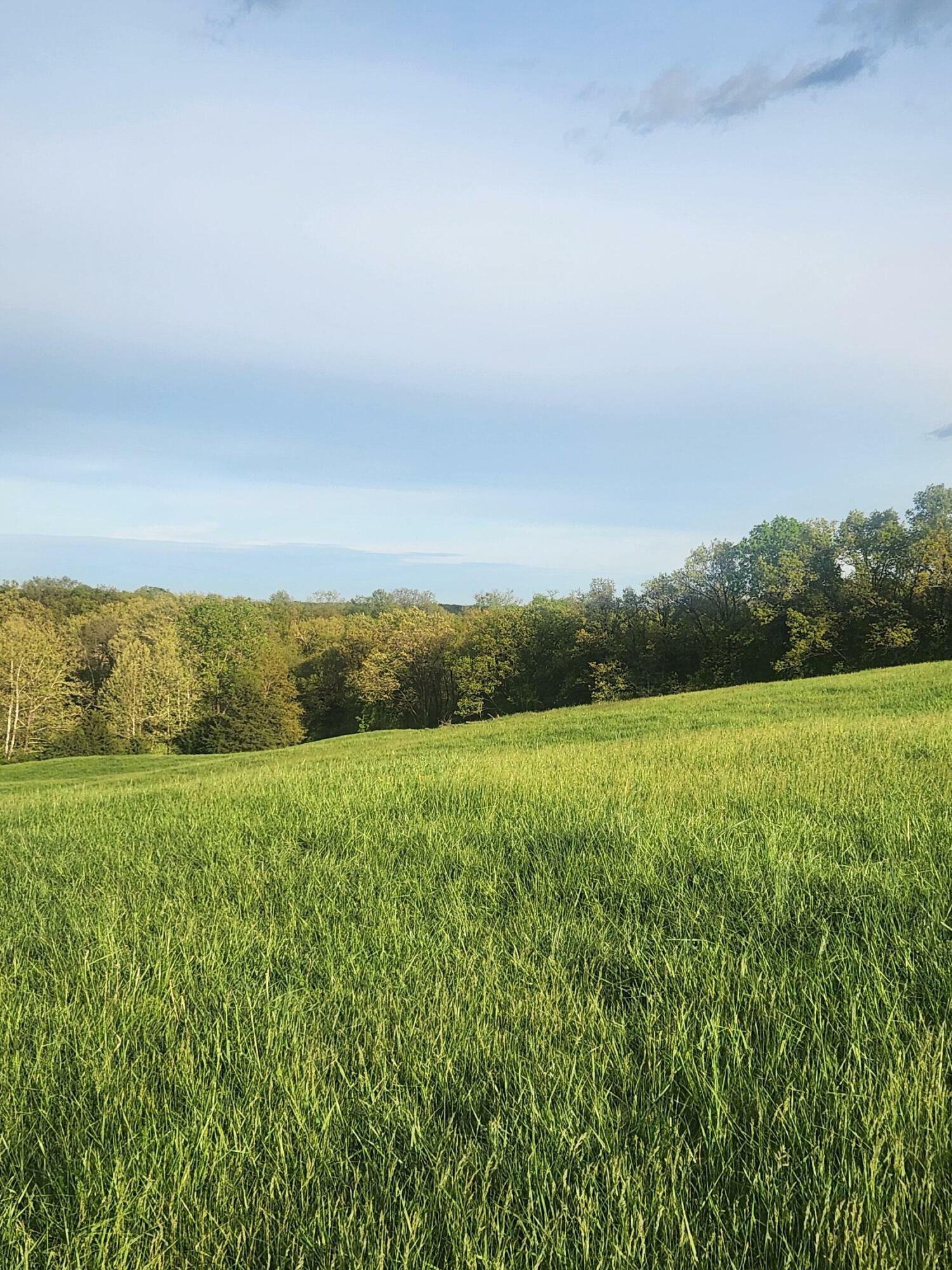 Property Photo: Tract 1 N Barnett School Rd MO 65284