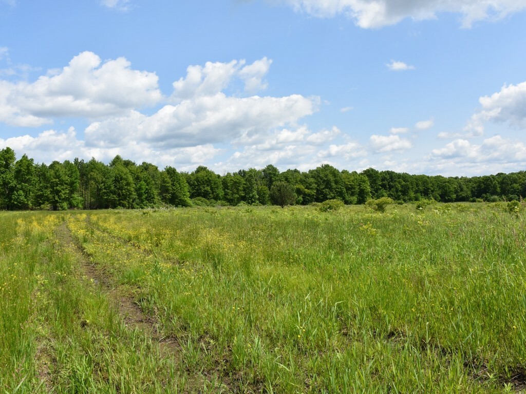Property Photo: 5403-009-2 State Hwy 198 PA 16406