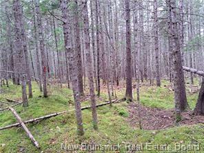 Property Photo: Lot 2022-2 Melanson Lane NB E3B 8Y6