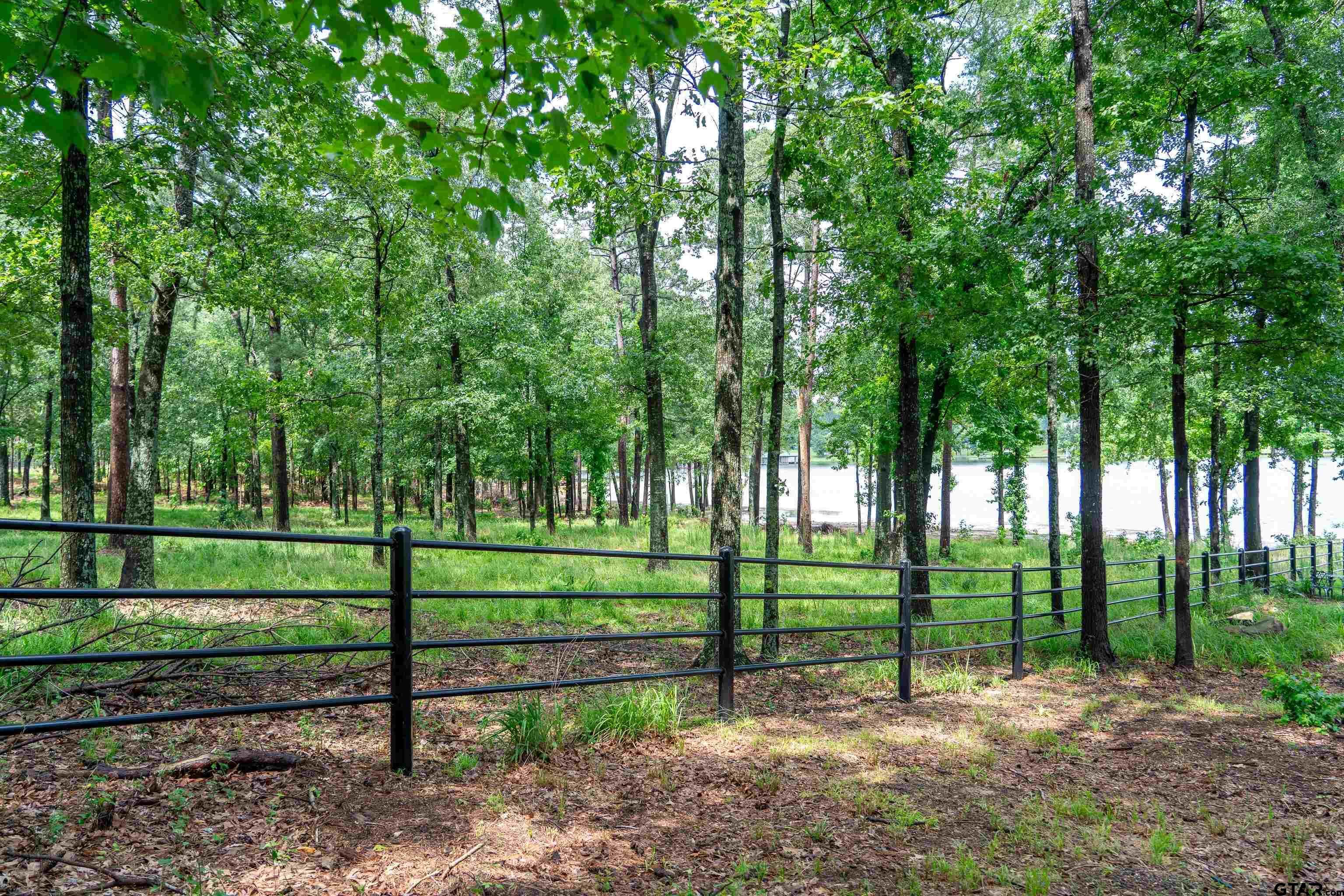 Property Photo: Lot 1 Ezelle Way TX 75480