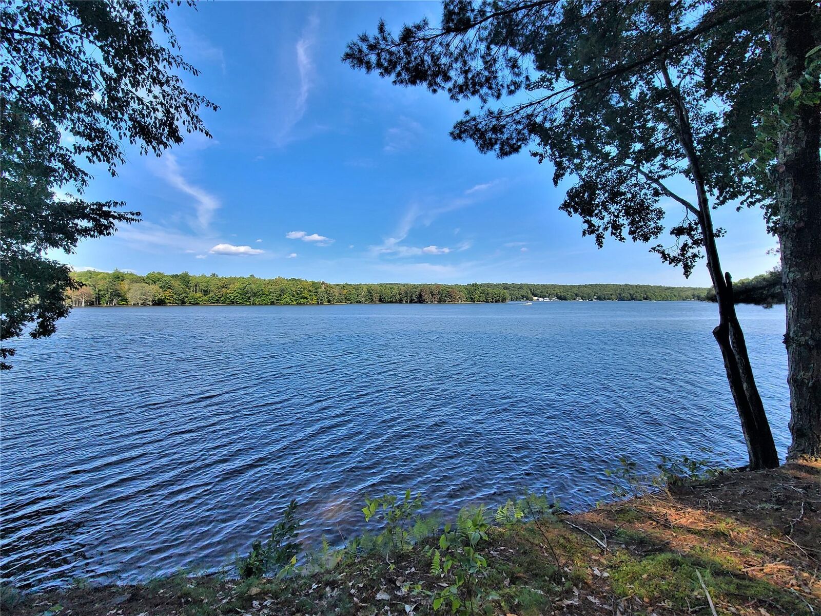Property Photo:  Lot 8 Woodstone Trail  NY 12720 
