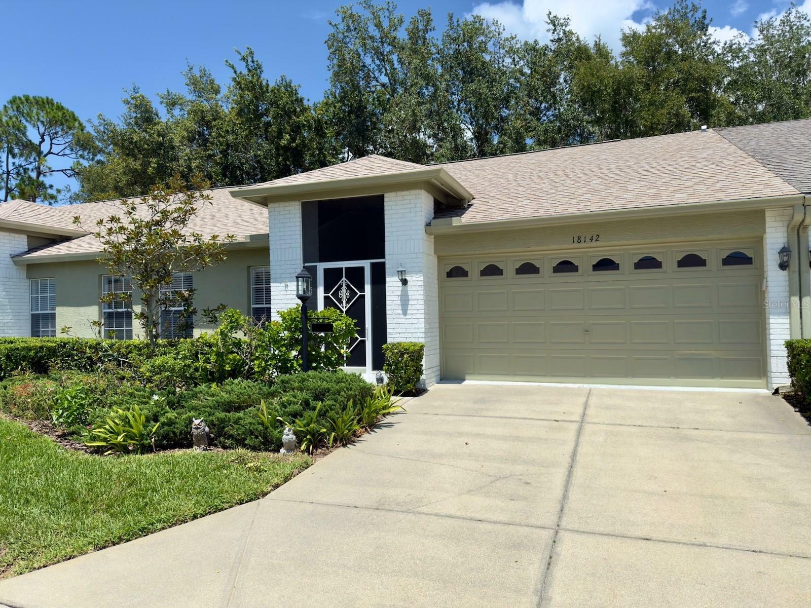 Property Photo: 18142 Baywood Forest Drive FL 34667
