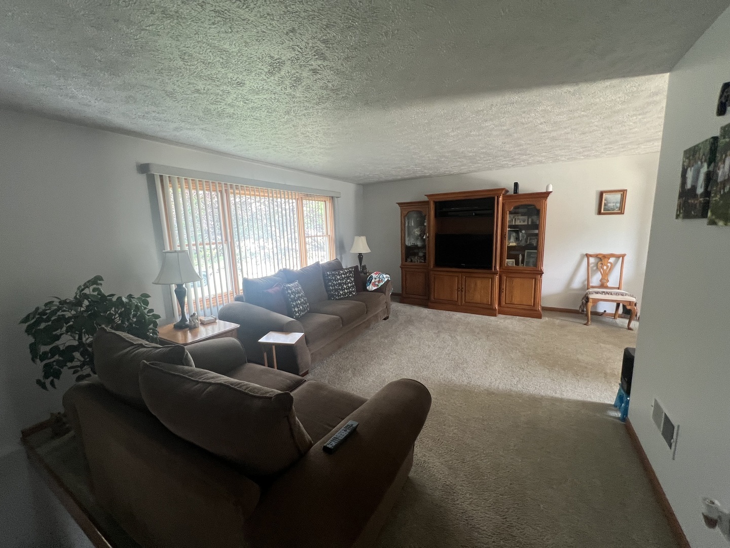 Property Photo: 24005 S Green Heron Drive IL 60410