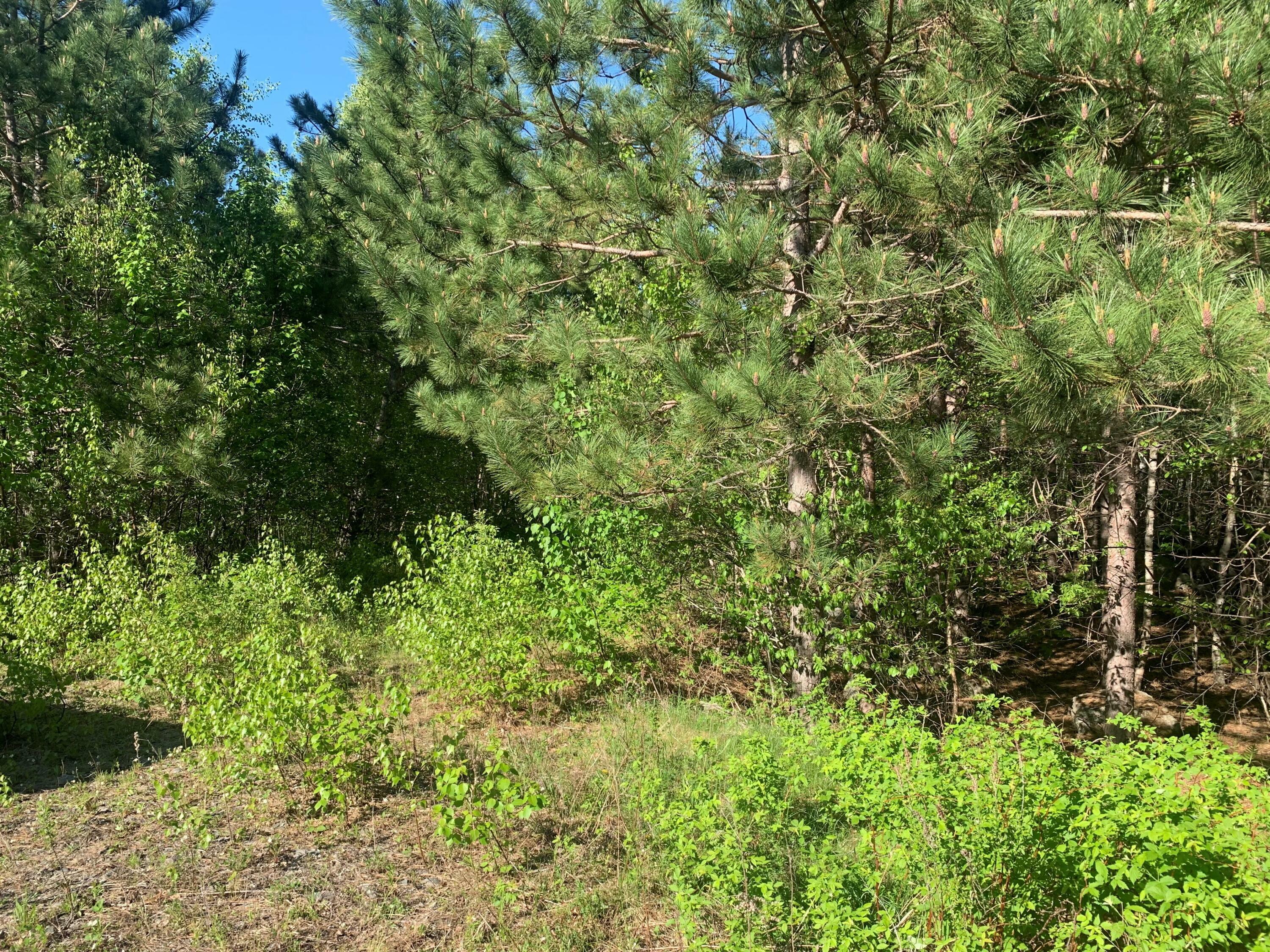 Property Photo: Lot 24 Grand View Drive ME 04429