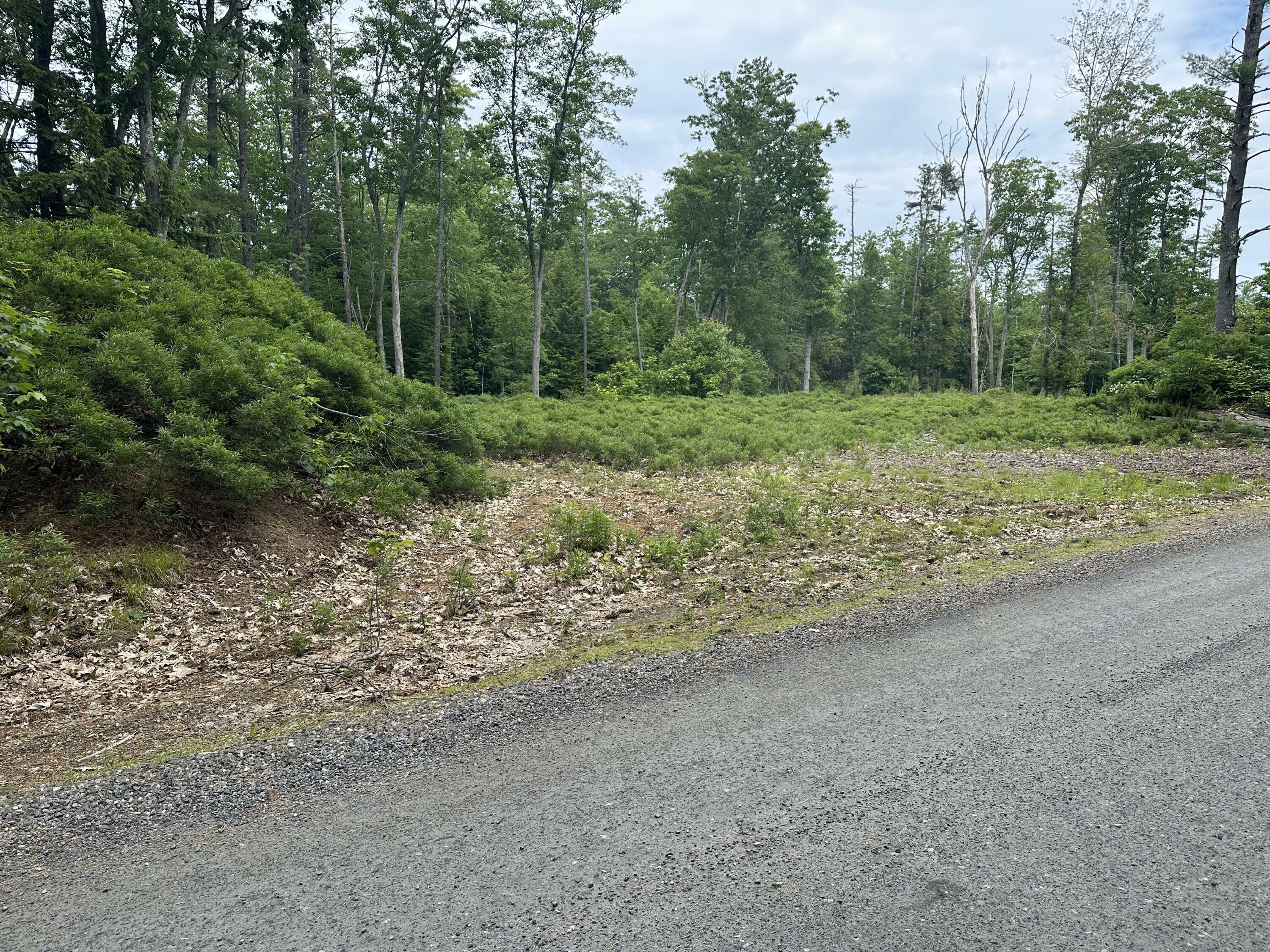 Property Photo:  Lot A Butler Road  ME 03906 