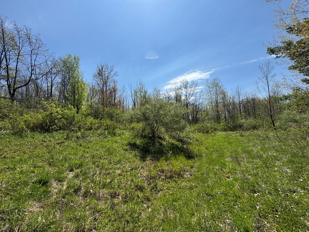 Property Photo: 0 Beach Road NY 14837