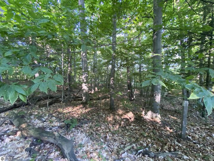 Property Photo:  Lot 10 S Club Drive  MI 49621 