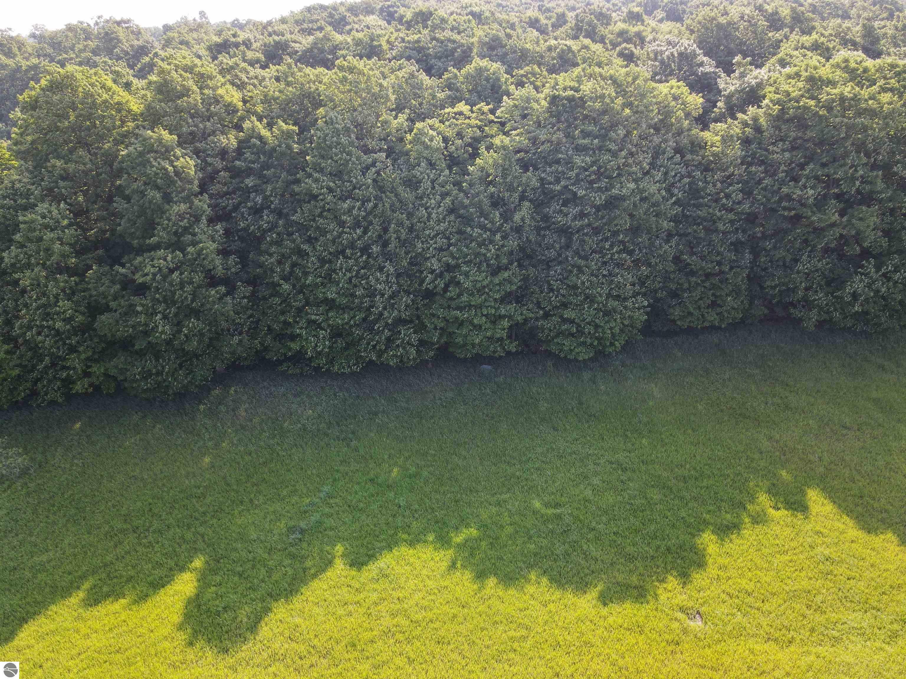 Property Photo: 10 Acres Kingsley Road MI 49649