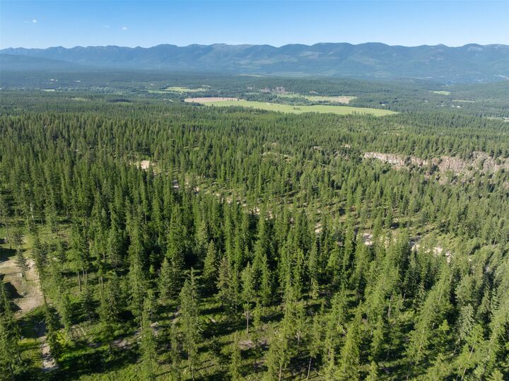 Property Photo:  220 Chinook Lake Lane  MT 59937 