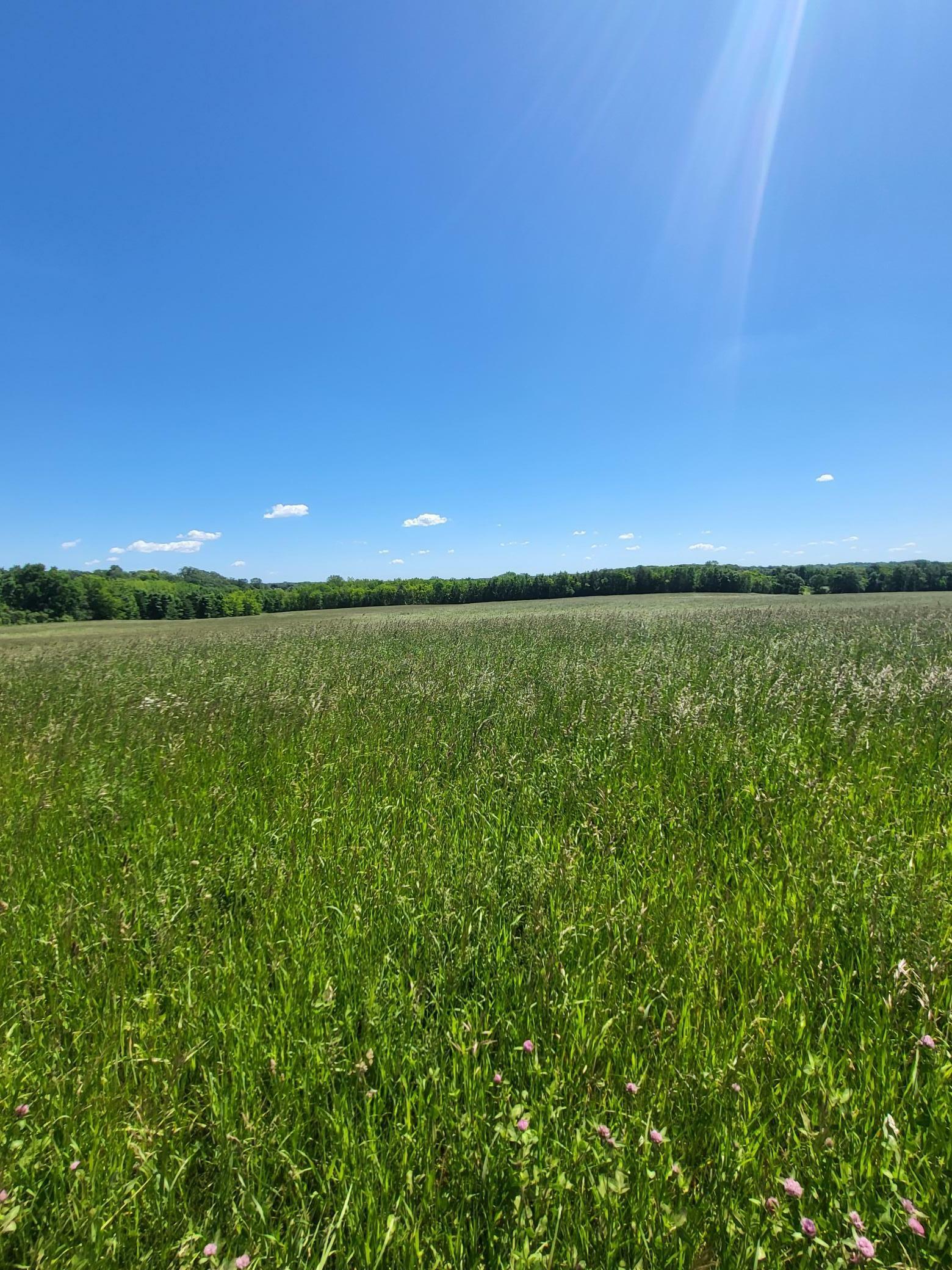 Property Photo: Xxx Nelson Road MN 55328