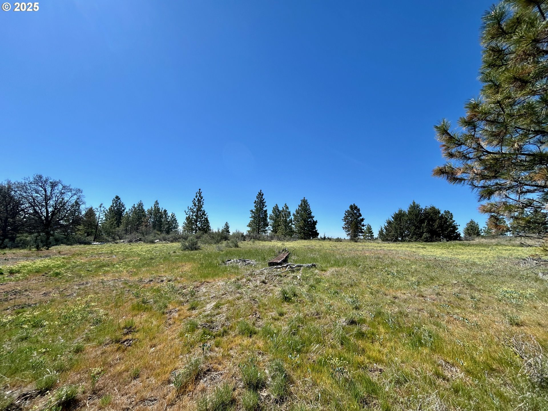 Property Photo: 2 Lots On Pine St WA 99322