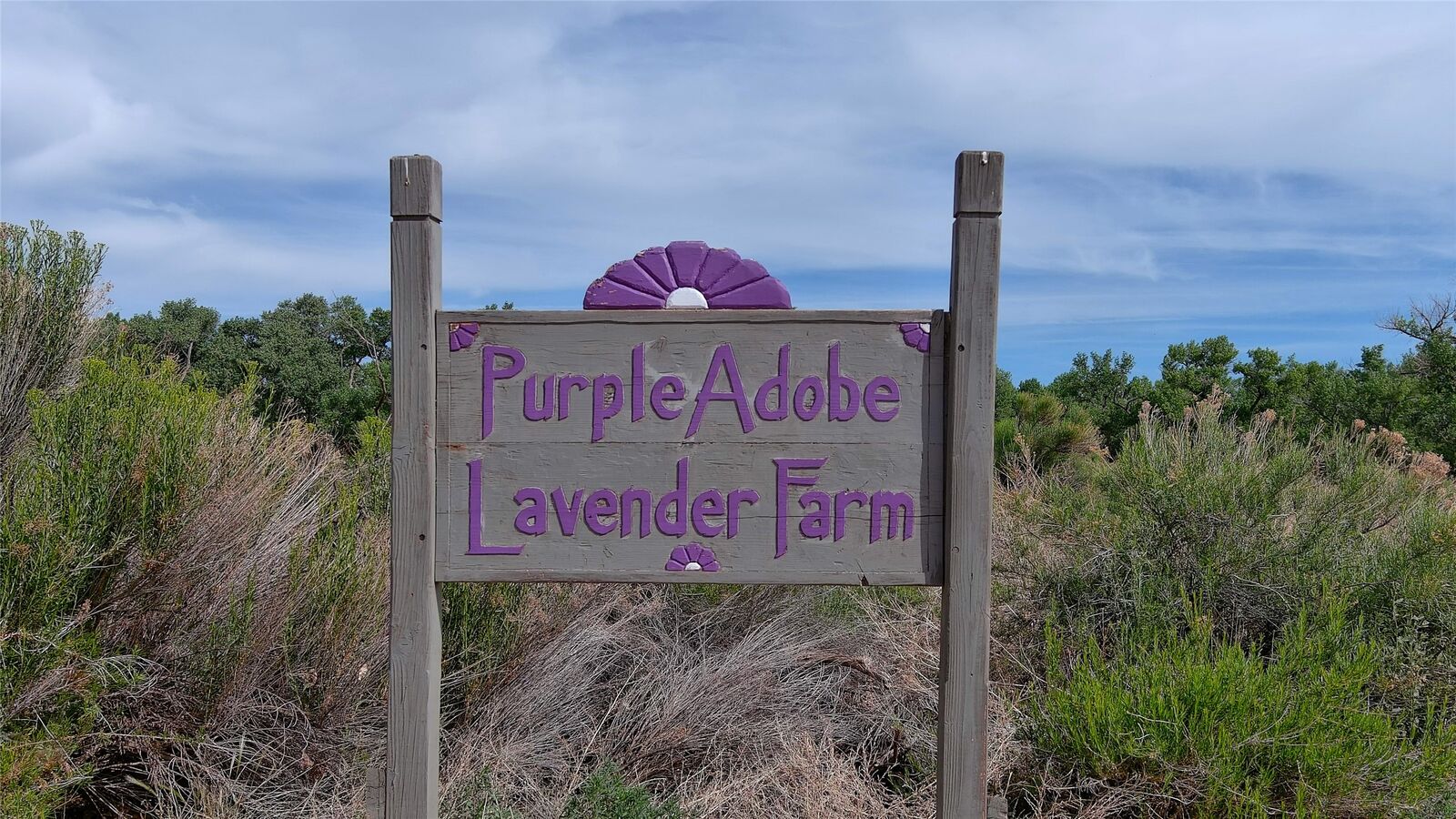 Property Photo:  Purple Adobe Lavender Farm #25 Private Dr  NM 87510 