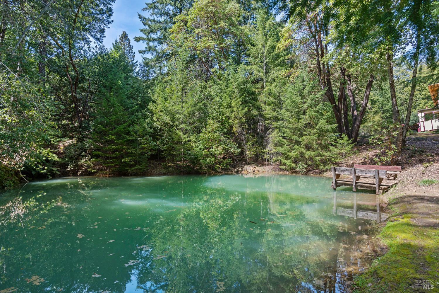 Property Photo: 29301 Timberline Road CA 95490