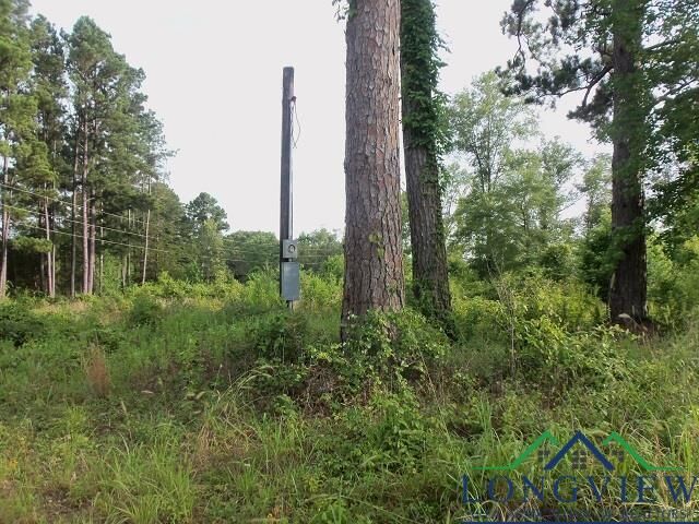 Tbd Whiteside Lane Cr 1127D  Kilgore TX 75662 photo