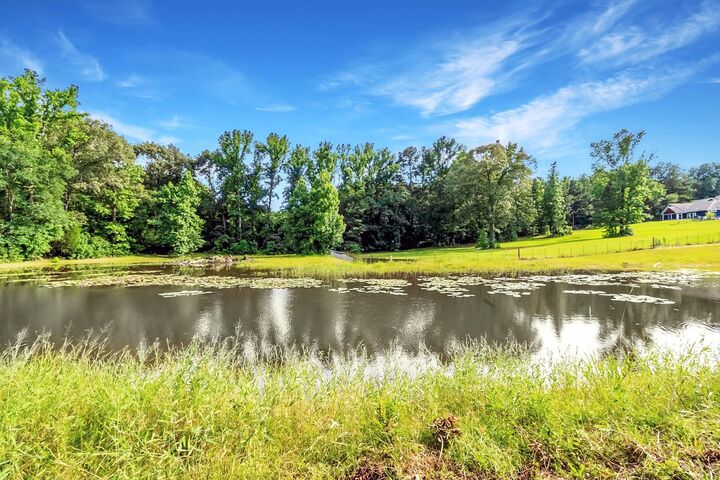 Property Photo:  14384 N County Road 2125  TX 75652 
